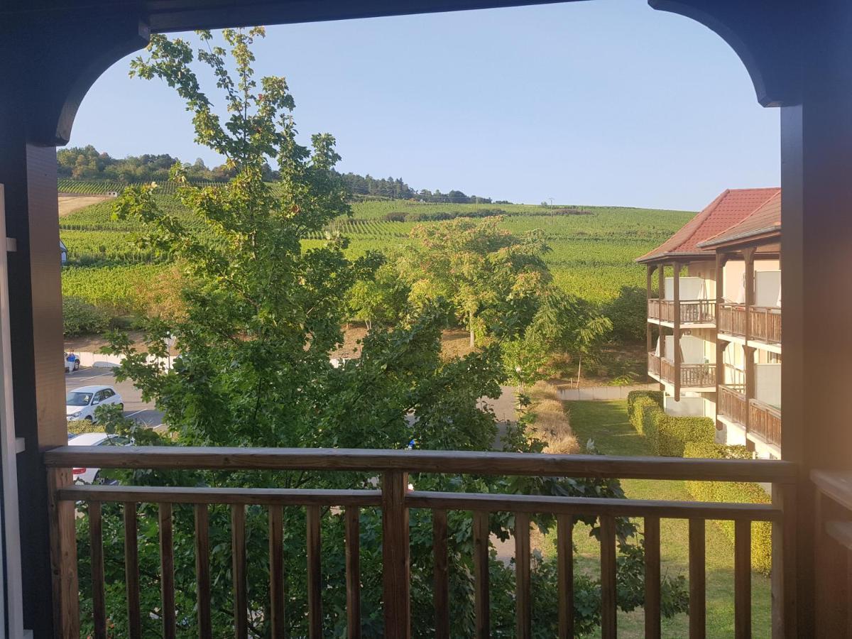 Le Petit Nid Bergheim